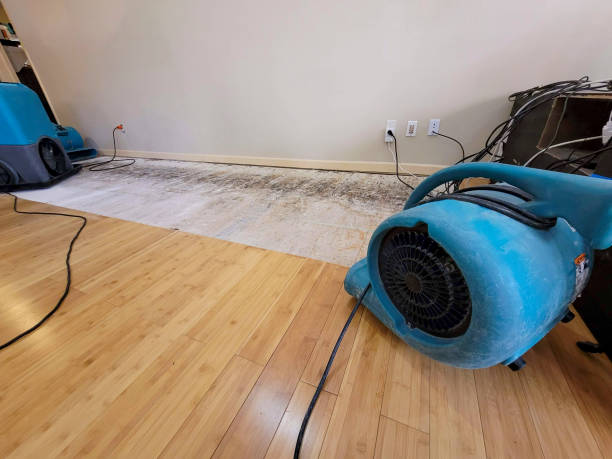 Professional Water Removal technician working in Centreville, IL